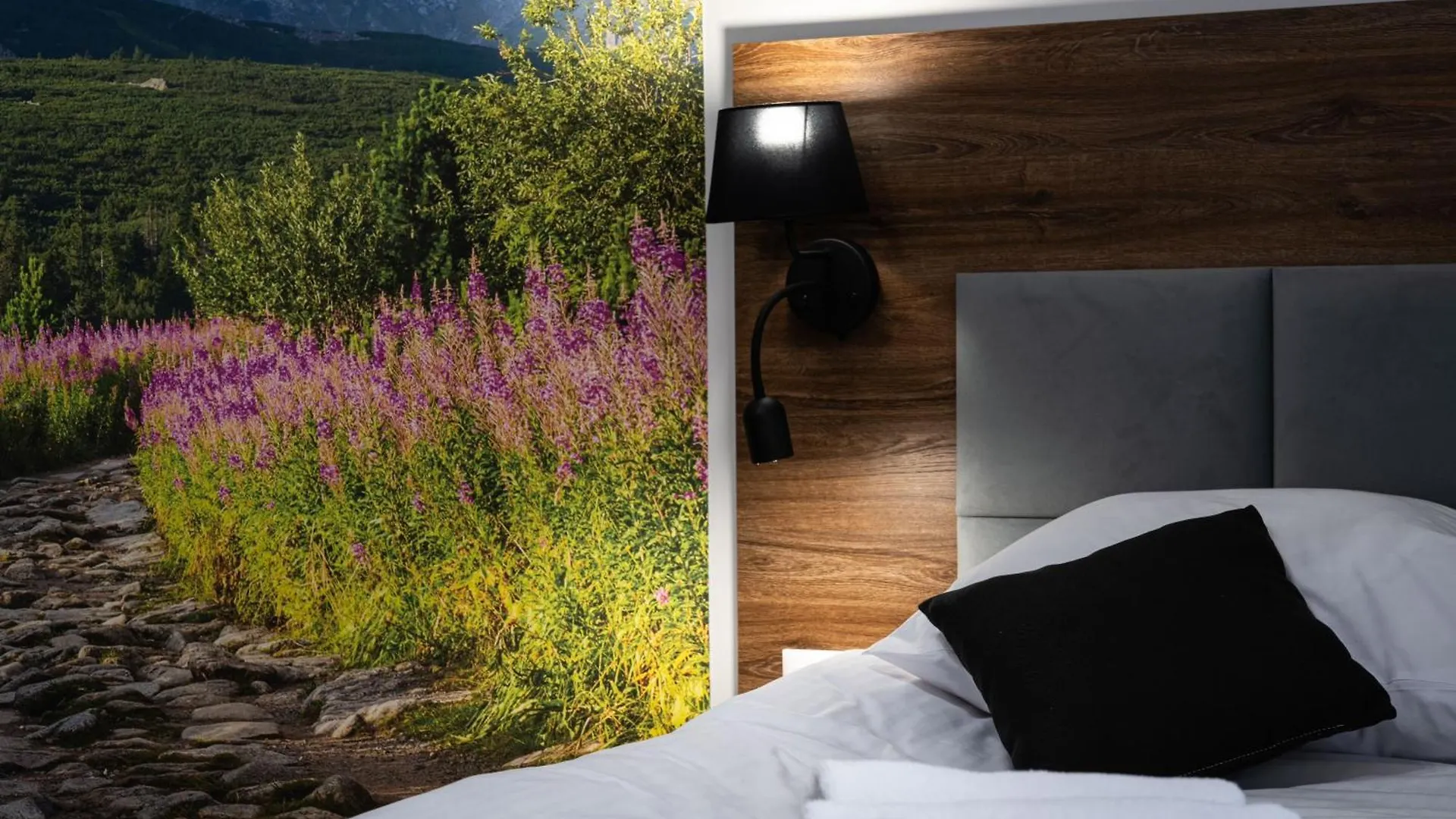 Willa Nosalowa Dolina Zakopane Aparthotel